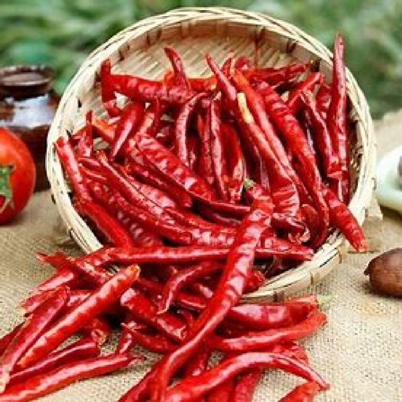 Dry Red Chilli