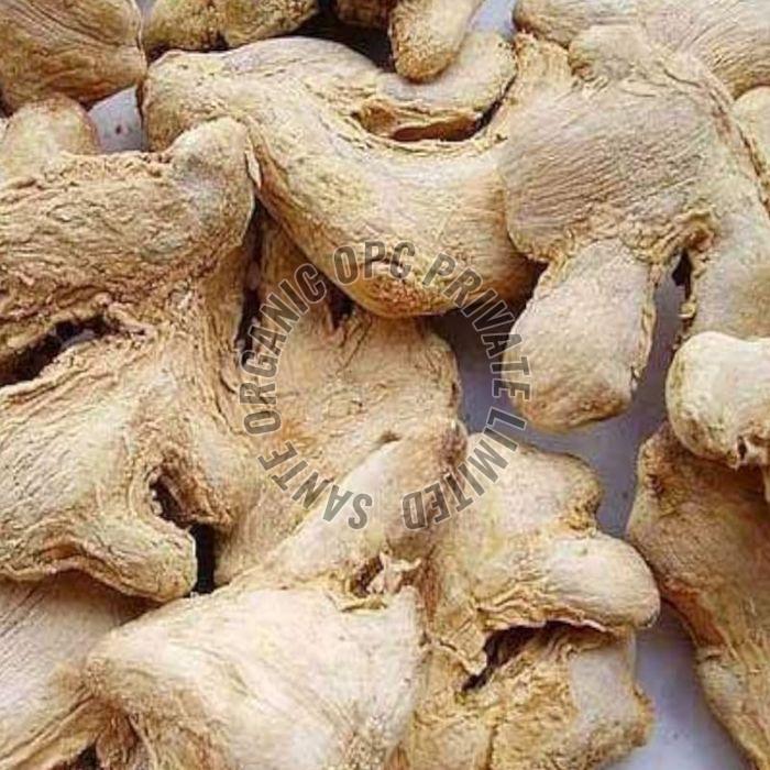 Dried Ginger