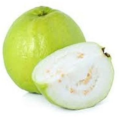 High Grade Indian Guava