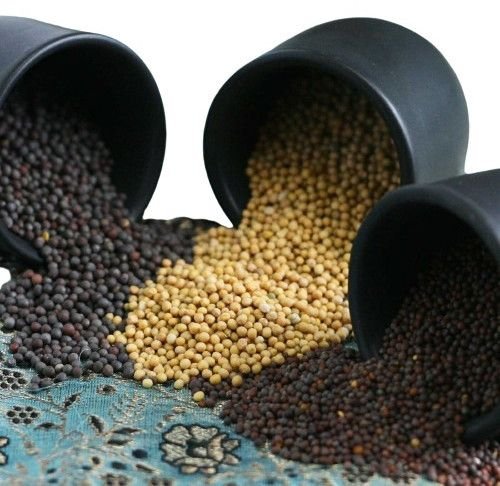 Whole Mustard Seeds