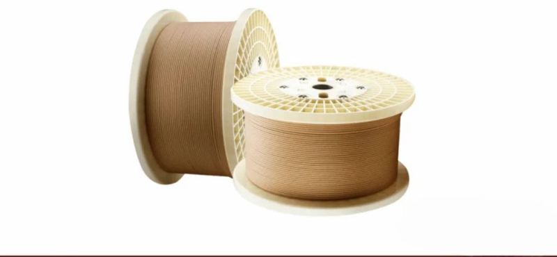 Asia Pacific Magnet Wire Paper Insulated Copper Strips