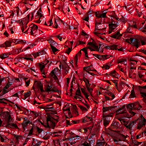 Byadgi Dried Red Chilli