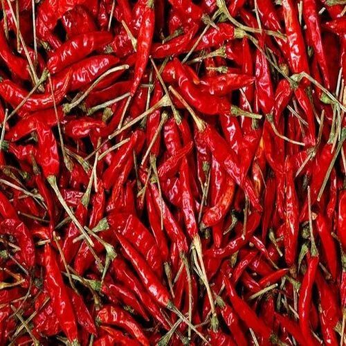 Guntur Sannam Dried Red Chilli