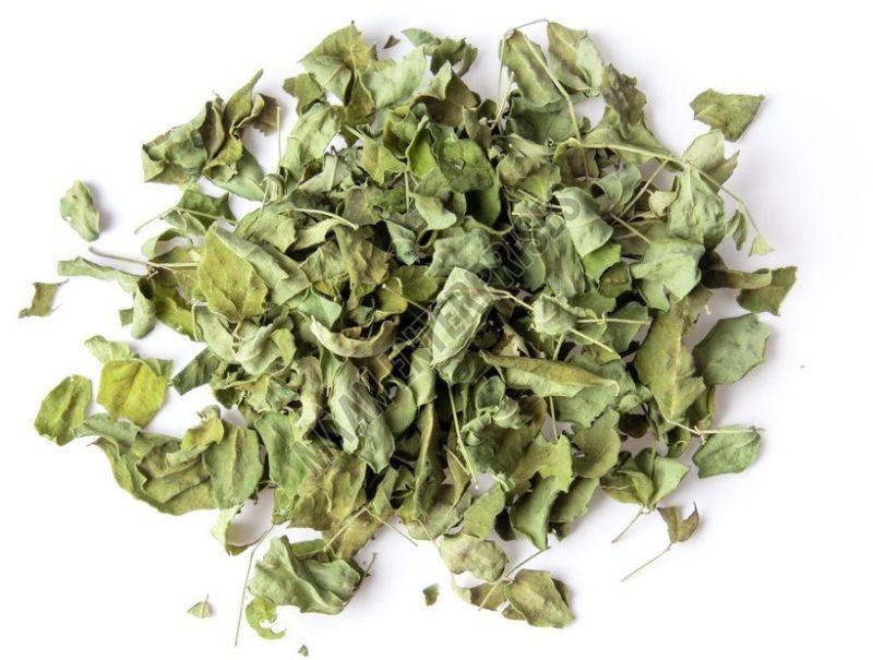 Premium Dried Moringa Oleifera Leaves