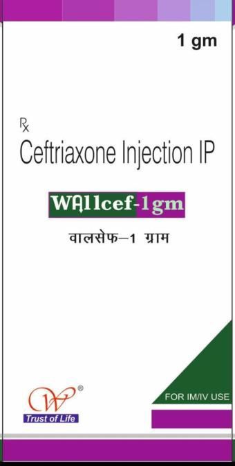 Wallcef 1Gm Injection