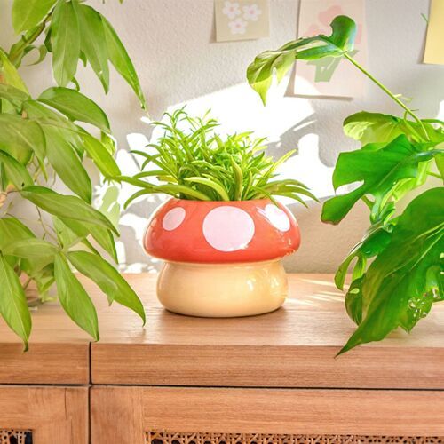 Ceramic Planter