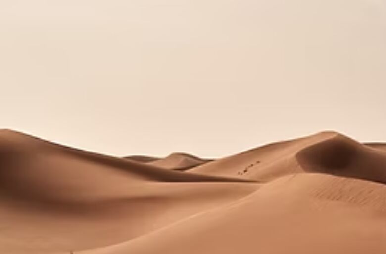 1Kg Cleanserve Drain Cleaner CRX Bio-Enzyme Liquid for Clogged Drains