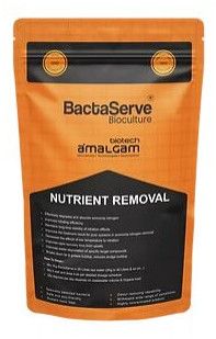 Bactaserve Nutrient Removal Microbial Culture