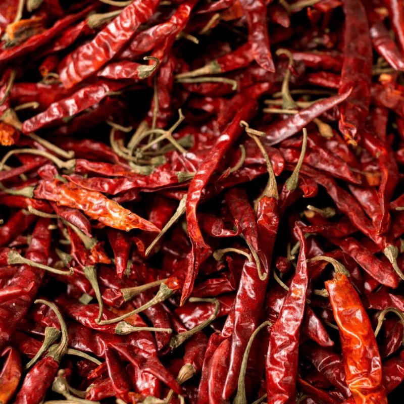 Sun Dried Red Chilli