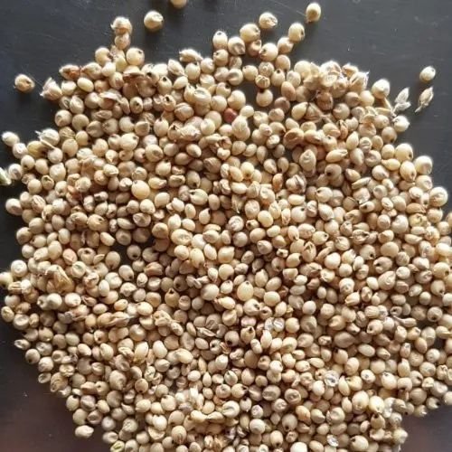 Natural White Sorghum Millet