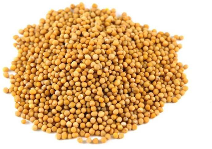 Yellow Mustard Seed