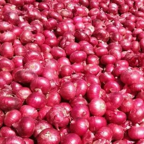 Whole Red Onions