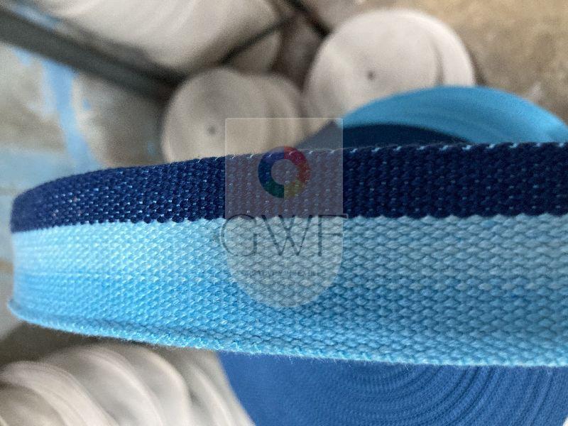 Polyester Webbing