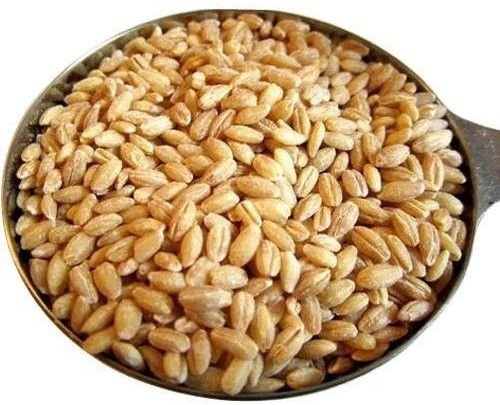Cereals Millets & Grains