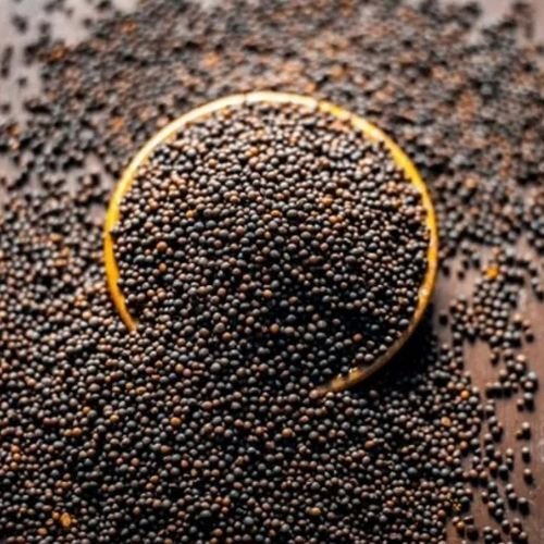 Black Mustard Seeds