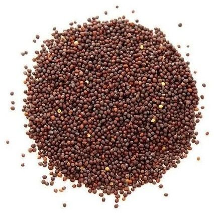 Brown Mustard Seeds