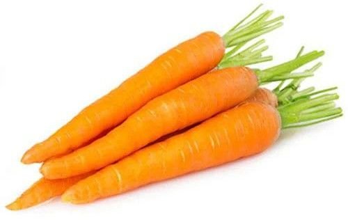 Fresh Carrot