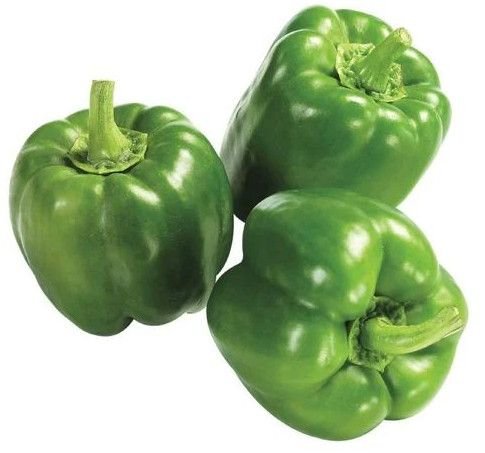 Fresh Capsicum