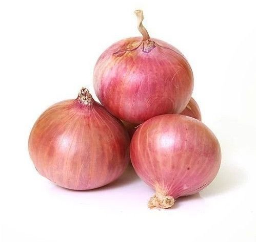 Fresh Onion