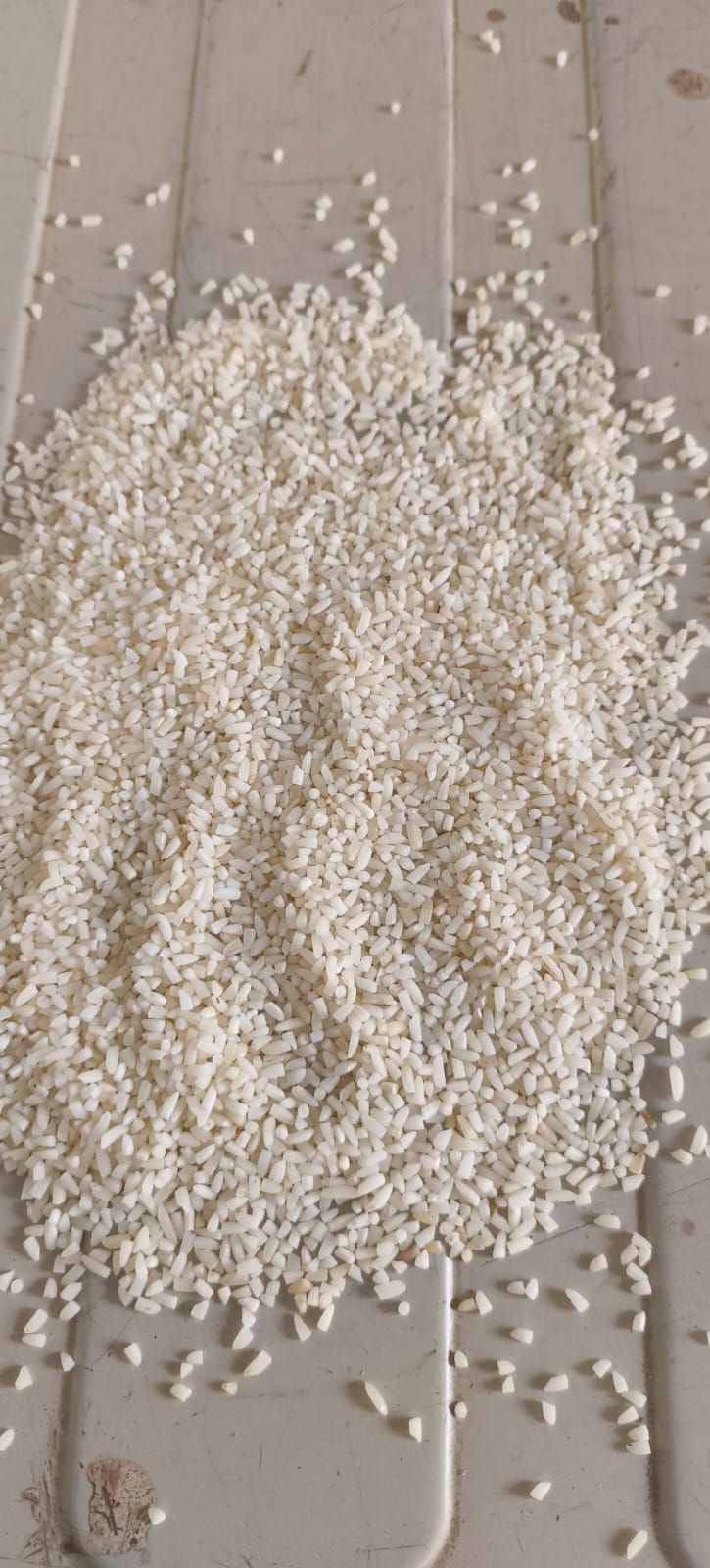 Broken Non Basmati Rice