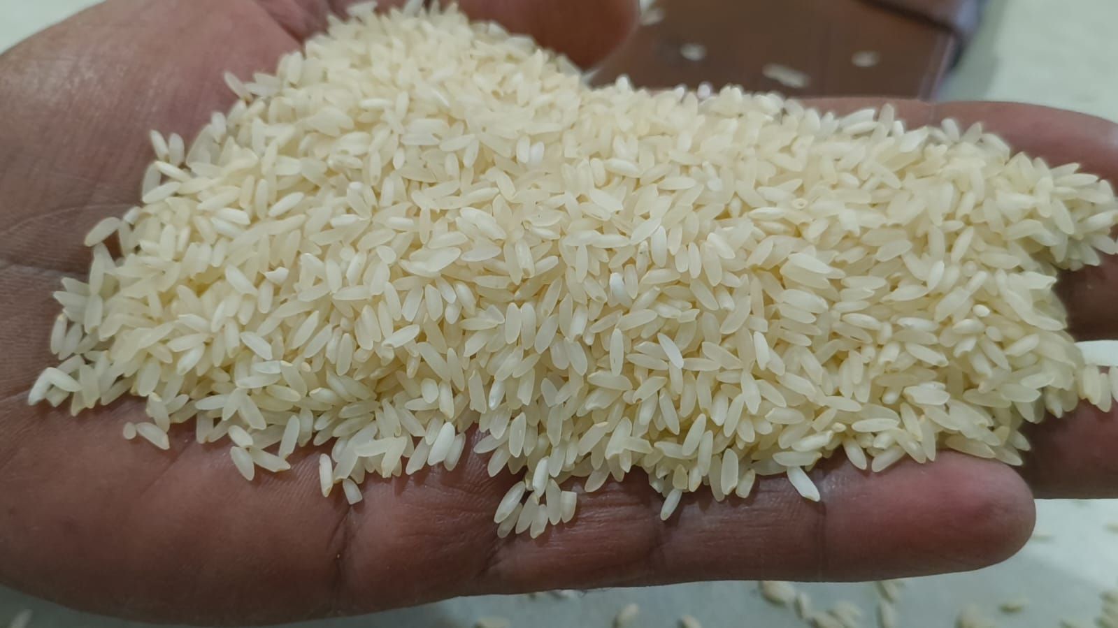 Sona Masoori Steam Rice