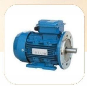 Induction Motor