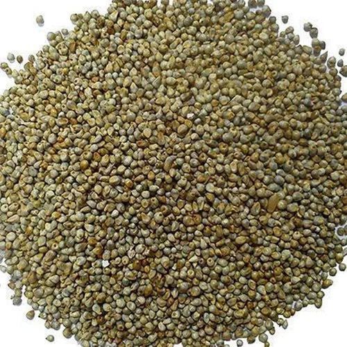 A Grade Millet Seeds