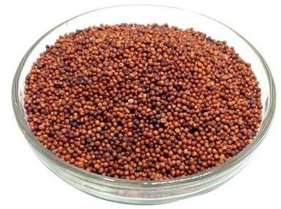Finger Millet Seeds