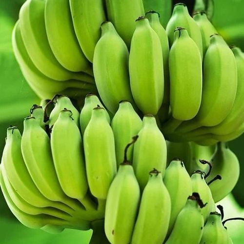 Fresh Green Banana