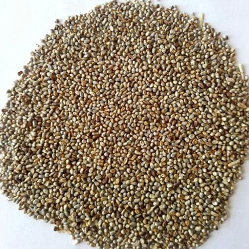 Natural Millet Seeds