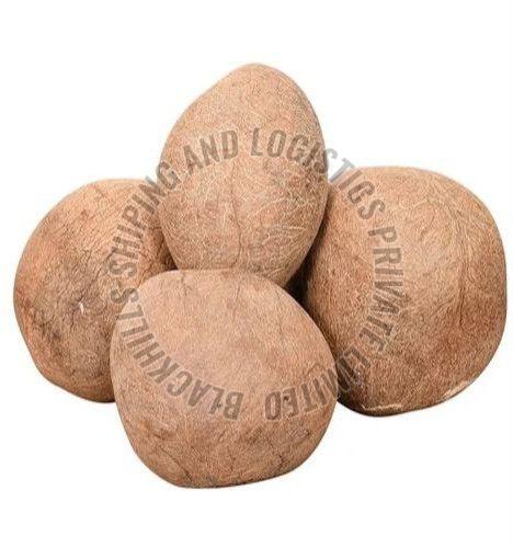 Dried Coconut Copra