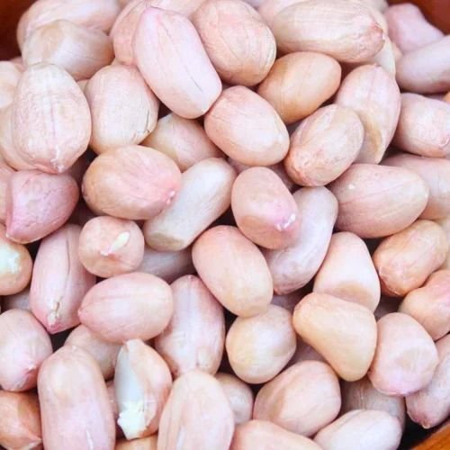 Bold Groundnut Seeds