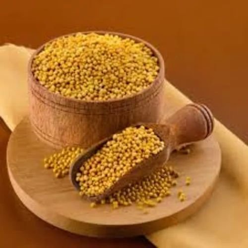 Yellow Mustard Seeds