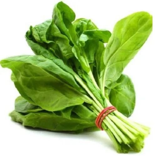 Fresh Green Spinach