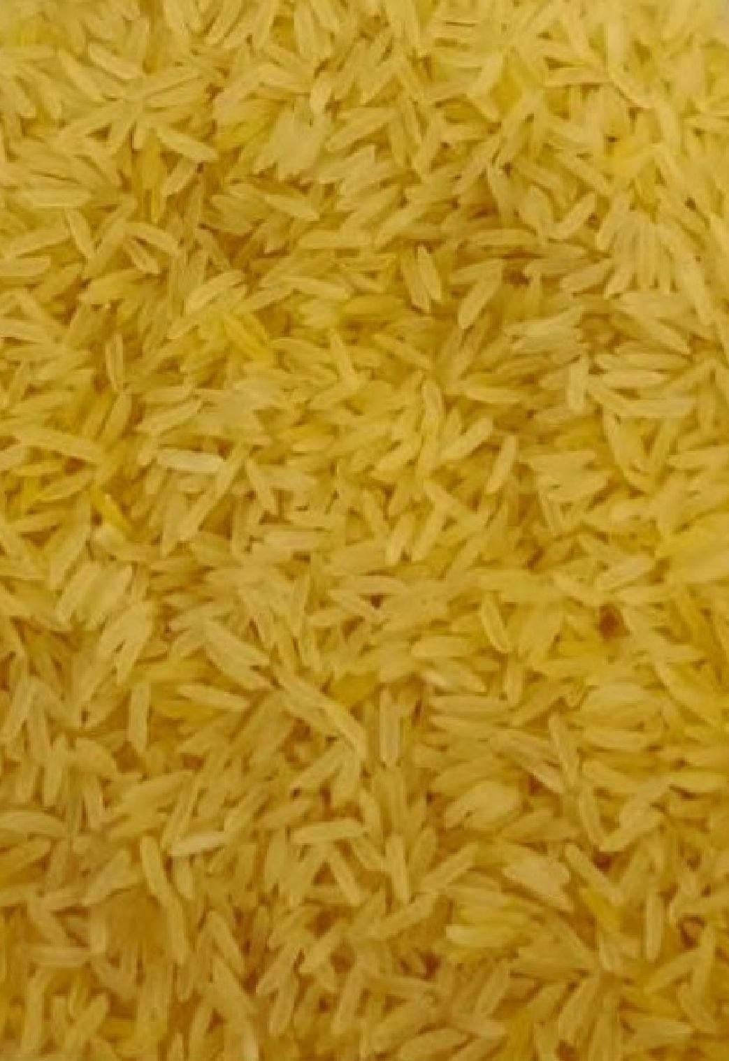 Sharbati Golden Sella Non Basmati Rice