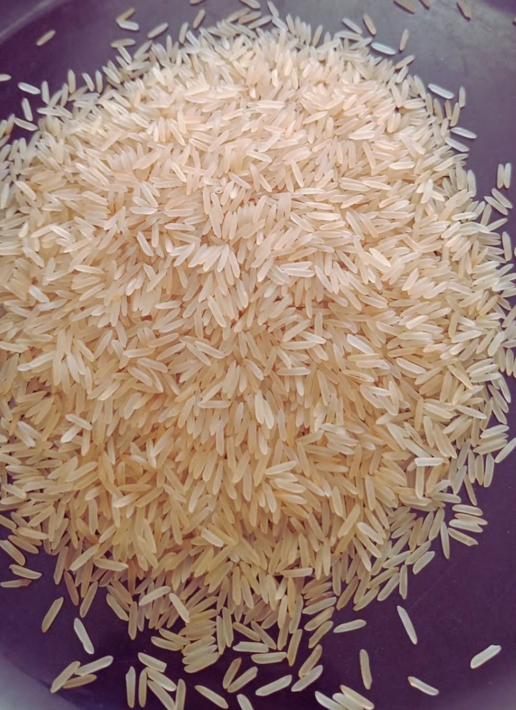 Sugandha Creamy Sella Non Basmati Rice