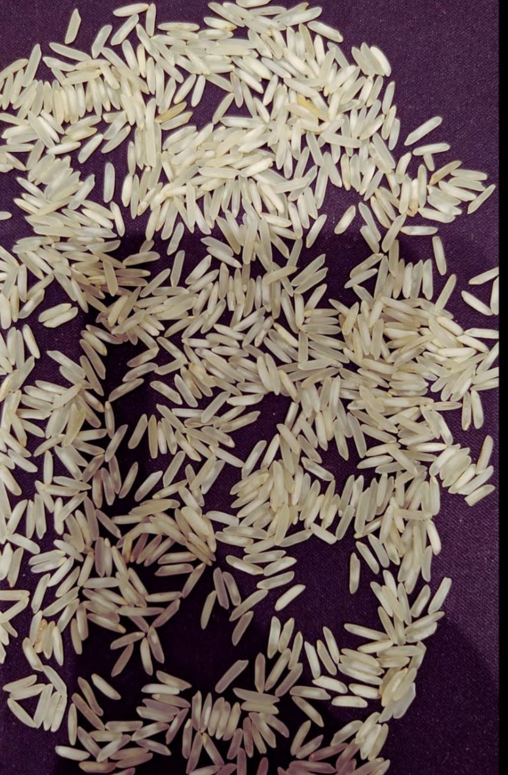 Sugandha Steam Non Basmati Rice