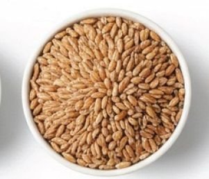 Wheat Berries