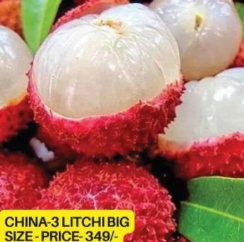 Litchi Plants