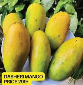 Dasheri Mango Plant
