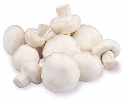Fresh Button Mushroom