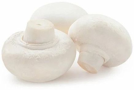 Hygienic Button Mushroom