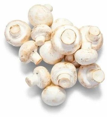 Organic Button Mushroom