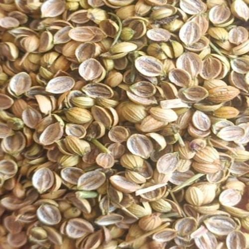 Dried Coriander Split Seeds