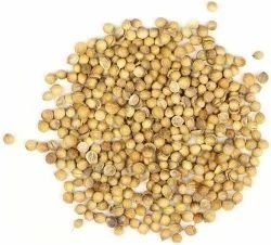 Natural Coriander Split Seeds