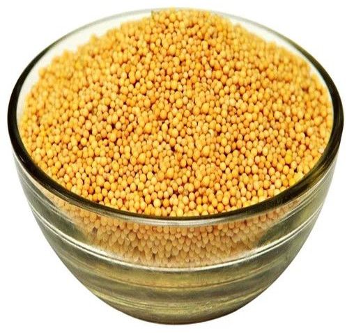 Yellow Mustard Seeds