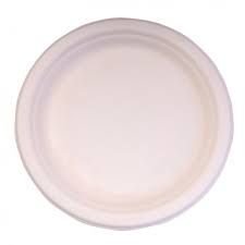 11 Inch Plain Sugarcane Bagasse Plates