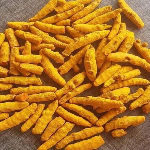Rajapuri Turmeric Finger