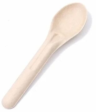 Sugarcane Bagasse Spoon
