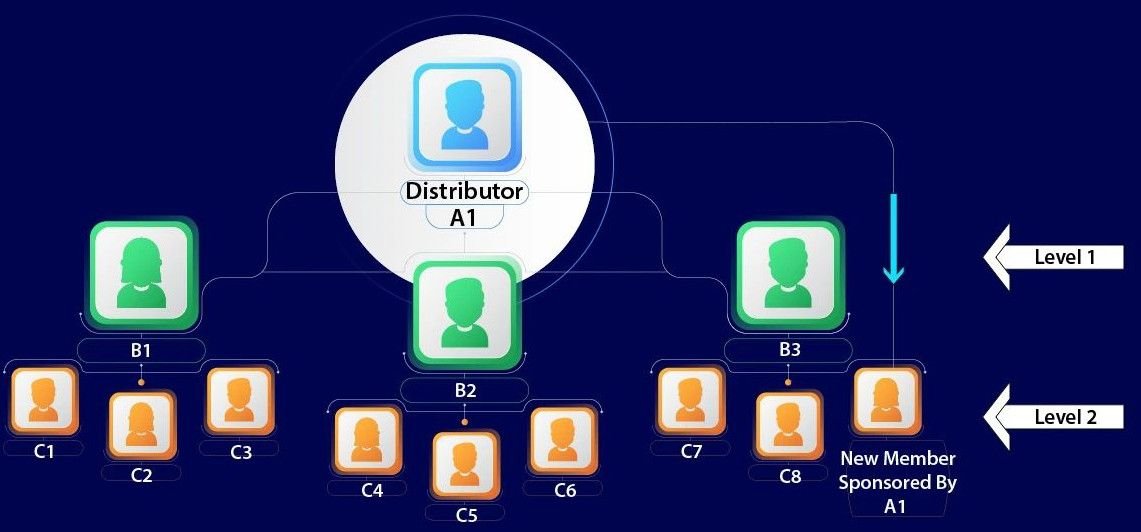 MLM Matrix Plan Website & App Development Service